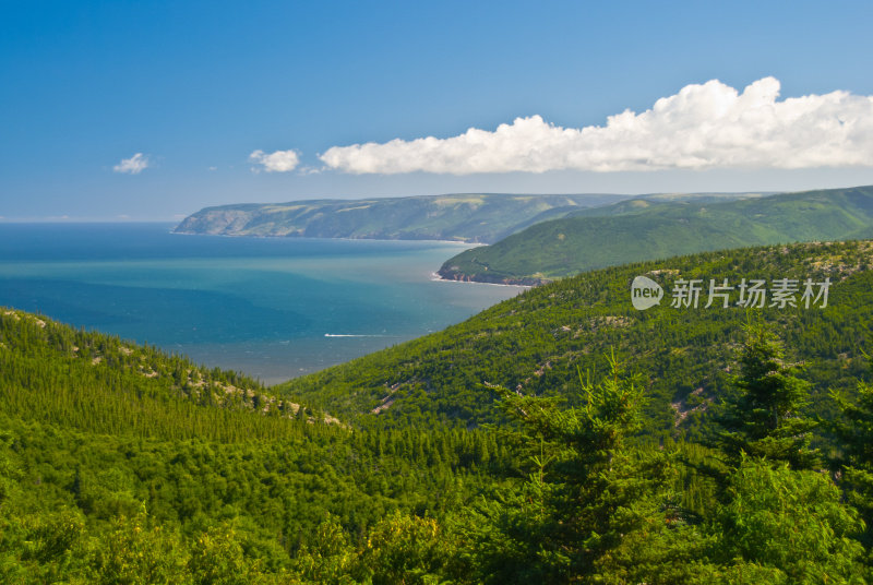 海岸线和森林