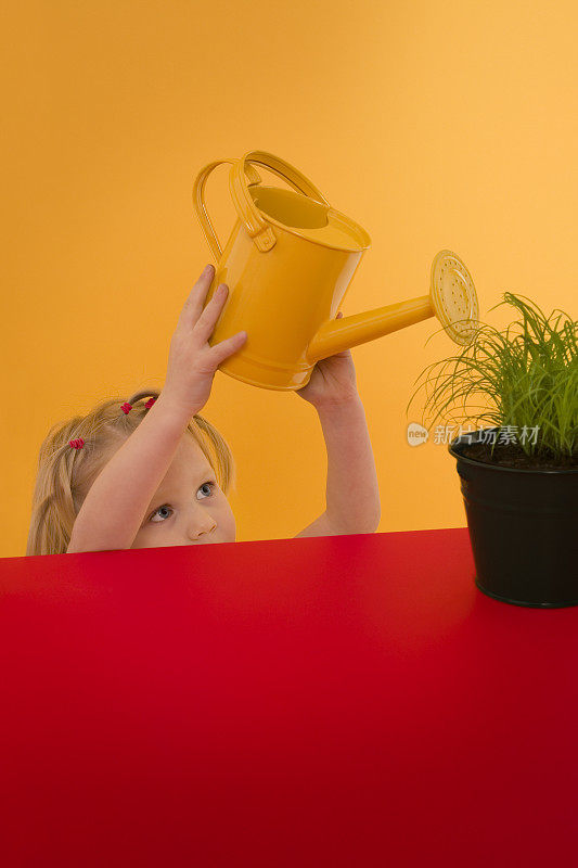 孩子决定给植物浇水