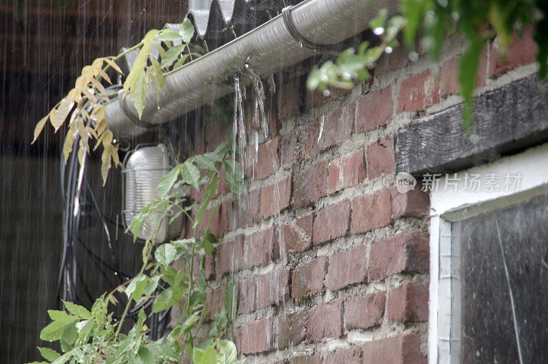 花园里下着大雨