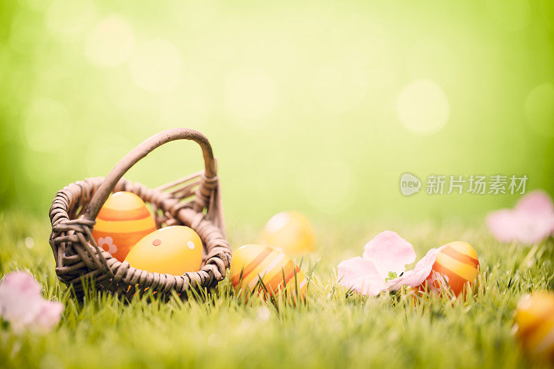 复活节蛋在篮子-绿草散焦散焦背景