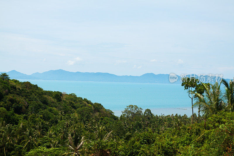 苏梅岛海岸