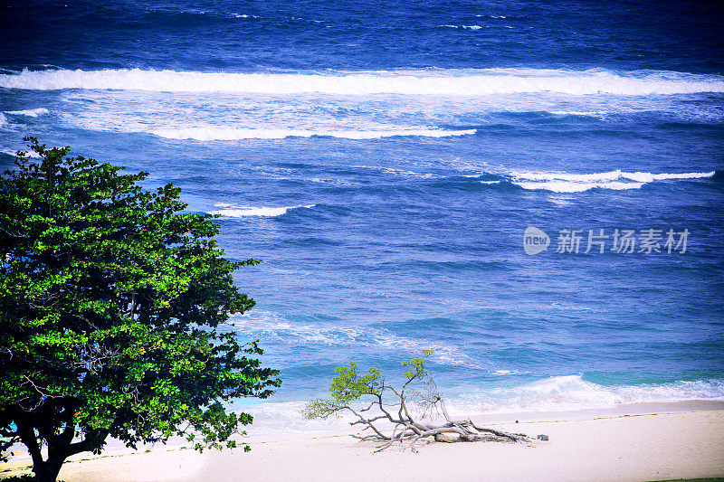 印度尼西亚巴厘岛海滩上湛蓝的海水