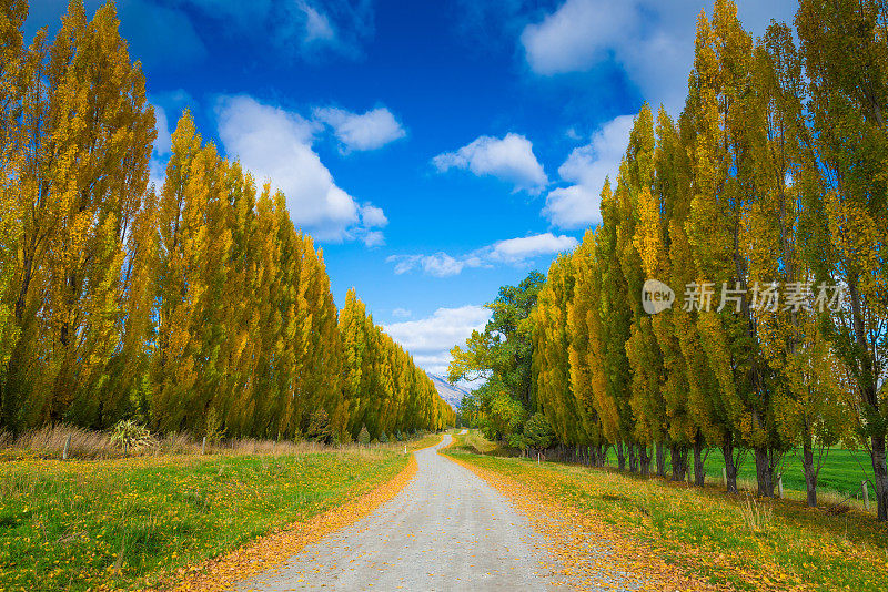 昆斯敦南岛法玛斯的全景