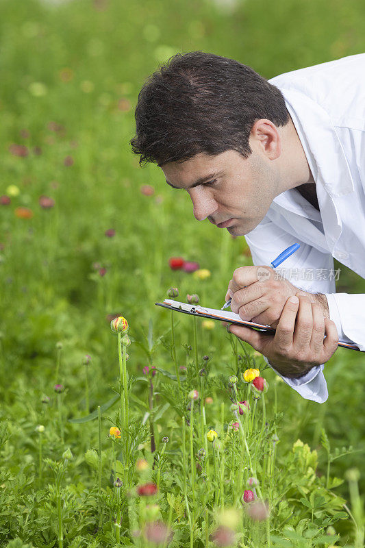 植物学家在切花温室检查记录