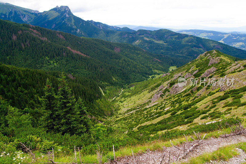 塔特拉山