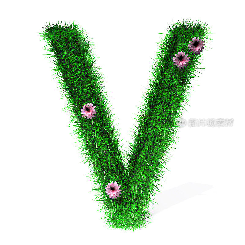 草和花的字母V