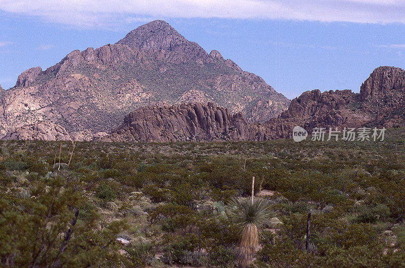 亚利桑那州西南部奇里卡瓦阿帕奇保护区附近的沙漠景观和山脉