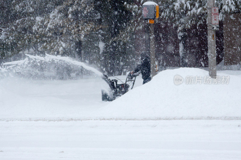 雪清