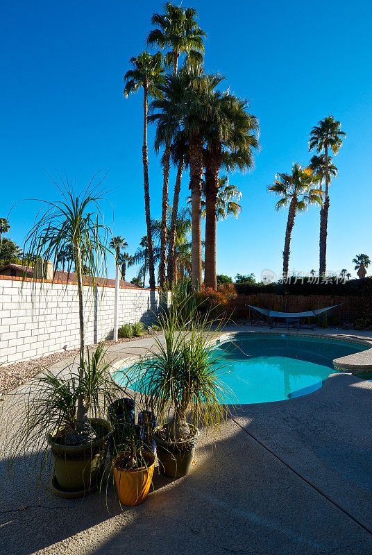 后院游泳池和露台，棕榈泉家，南加州，美国