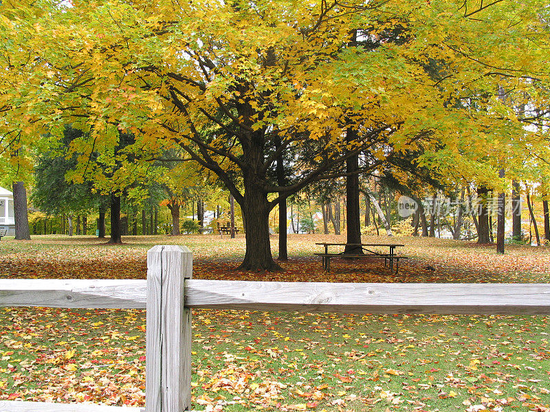 栅栏和树在秋天的颜色