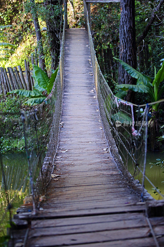 马达加斯加:Mantadia国家公园的索桥