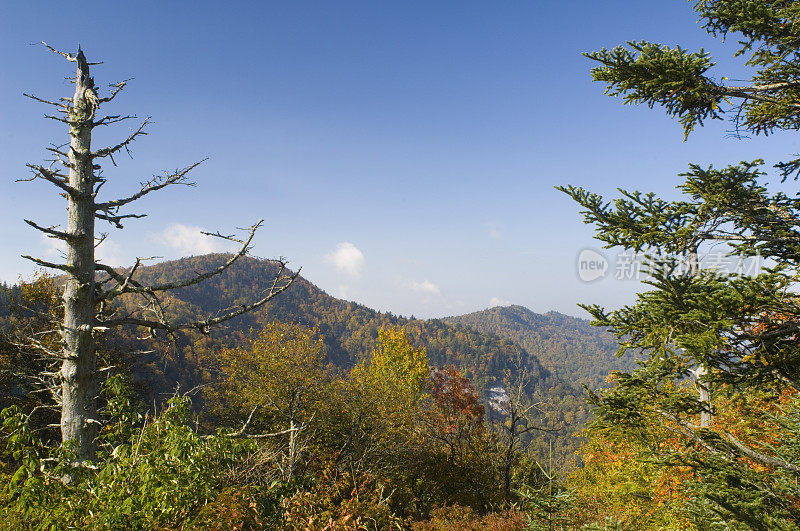 美国北卡罗莱纳州秋季水岩旋钮上的蓝脊公园路