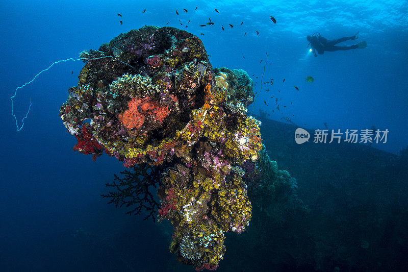 沉船潜水