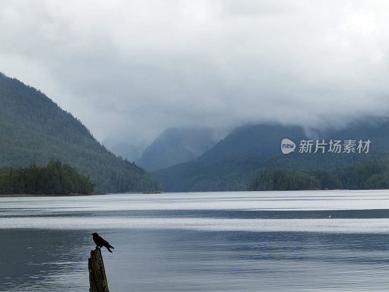 远处迷雾重重的岛屿