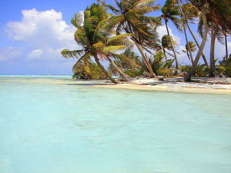 博拉博拉摩图来自蓝绿色海滩，法属波利尼西亚，塔希提岛