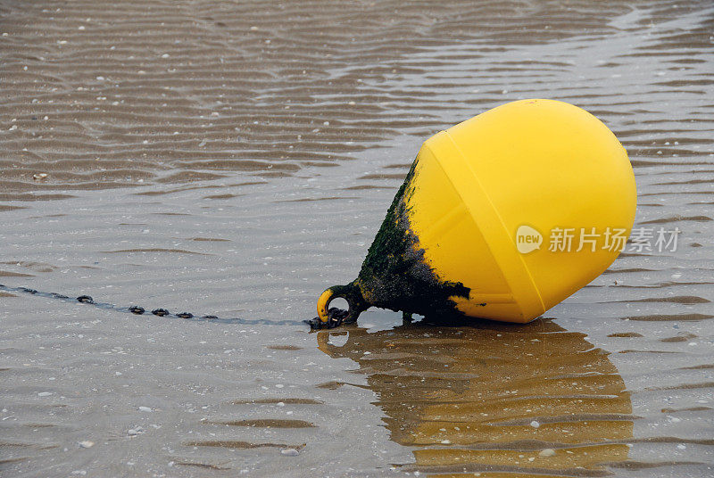 海滩上的浮标