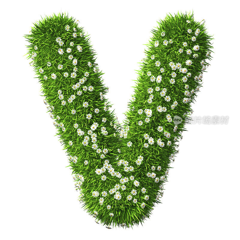 草字母V