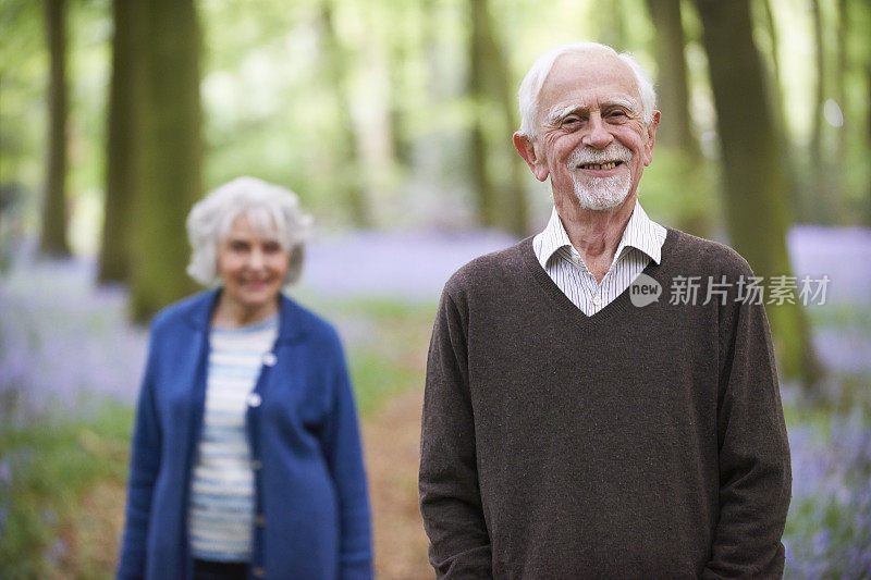 走过蓝铃草树林的老夫妇