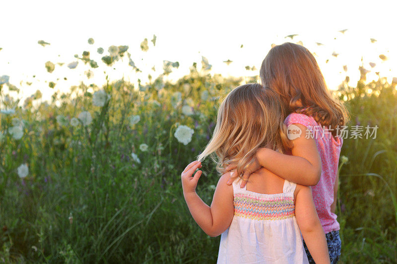 姐妹们互相抱在草地上在日落