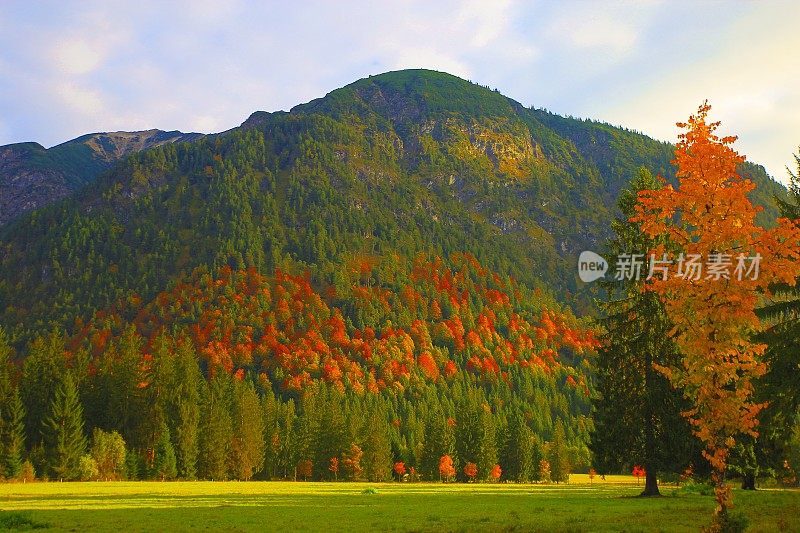 阿尔卑斯山景观在奥地利Tirol，附近Karwendel山脉和巴伐利亚阿尔卑斯山在德国-雄伟的高山景观在金色的秋天，戏剧性的Tyrol雪山全景和田园式的Tirol草地，奥地利