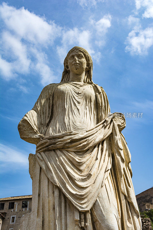 意大利罗马广场维斯塔斯宫的罗马雕像。