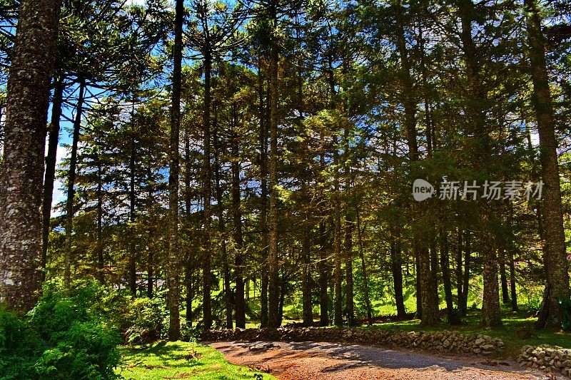 圣卡塔琳娜美丽的风景