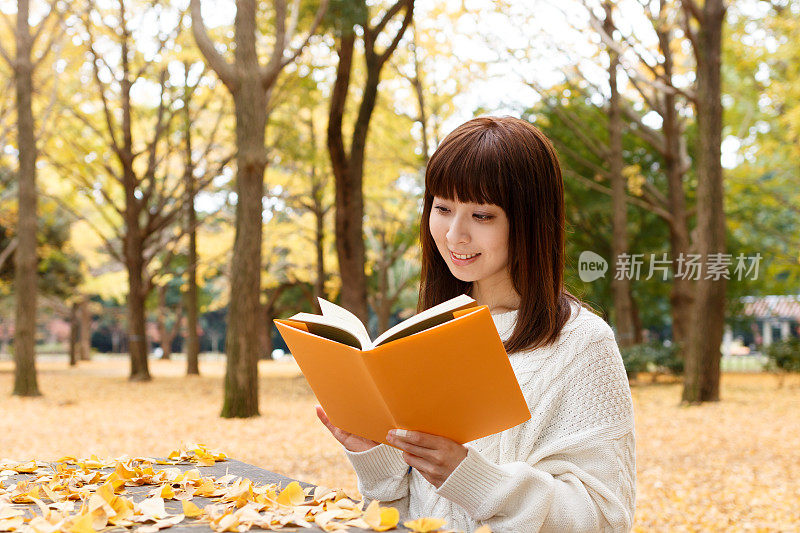 阅读在秋天