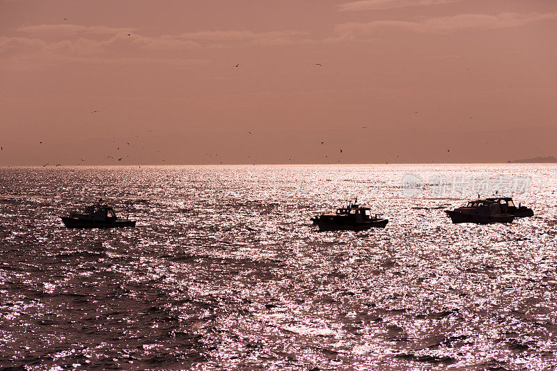 日落时分，土耳其伊斯坦布尔卡迪科伊附近的博斯普鲁斯海峡沿岸的传统渔船