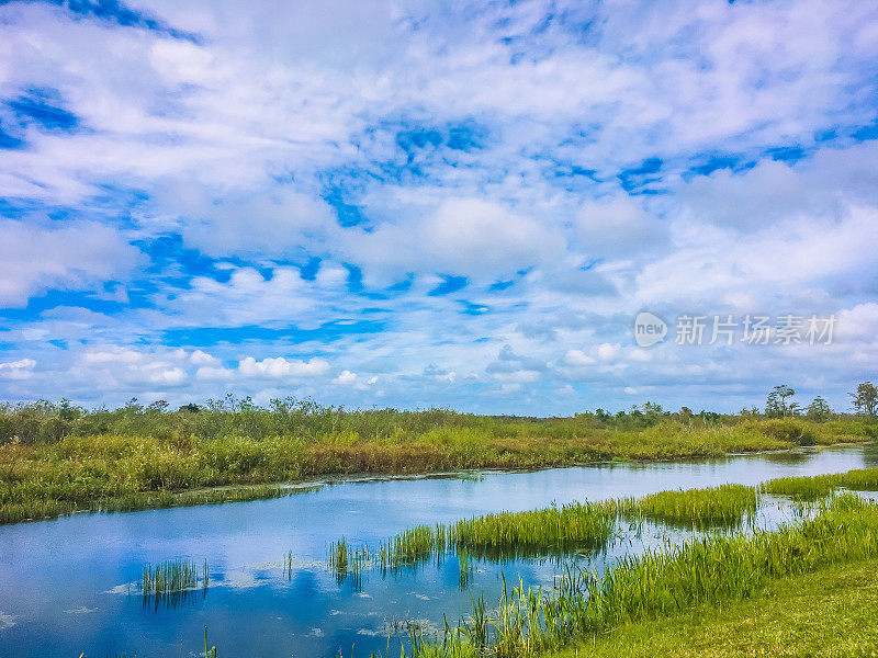 佛罗里达的沼泽和天空