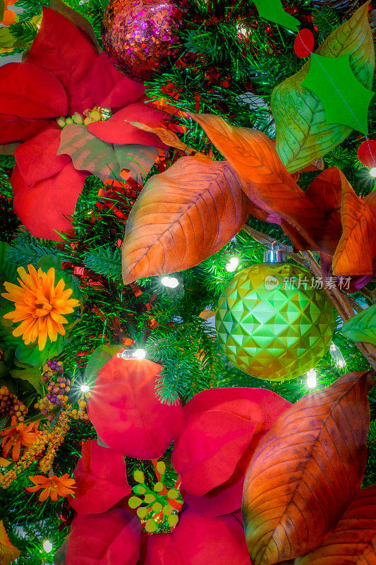 秋叶和红一品红装饰圣诞树(P)