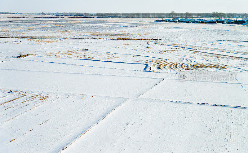 农田被雪覆盖着