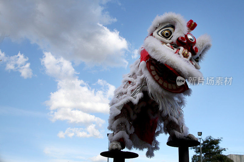 中国新年-舞狮