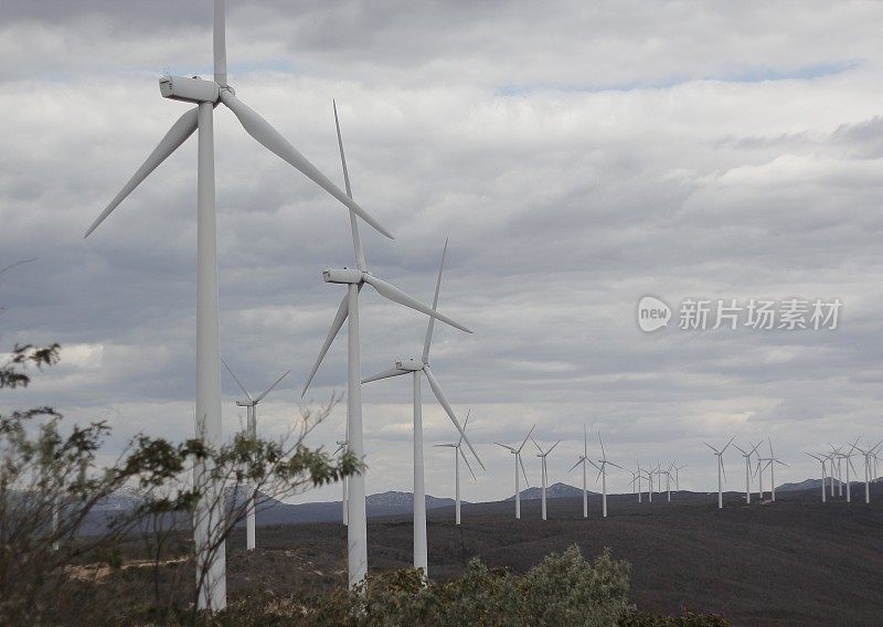 风力发电场安装在巴西