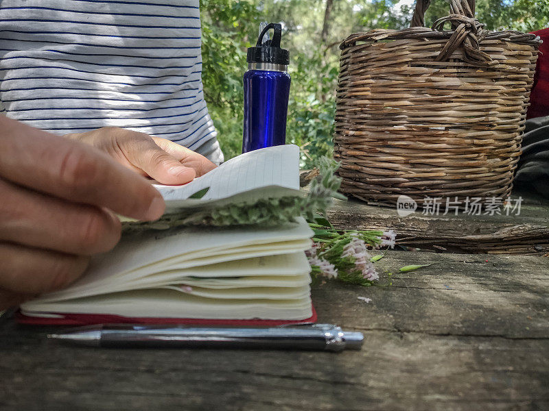 可持续生命活动者用绿色植物的叶子做笔记本