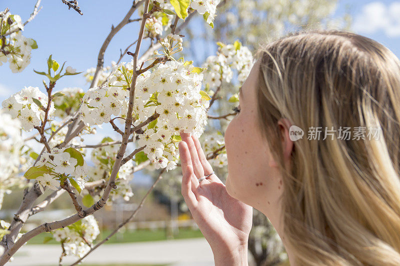 女女学生闻春天的树开花