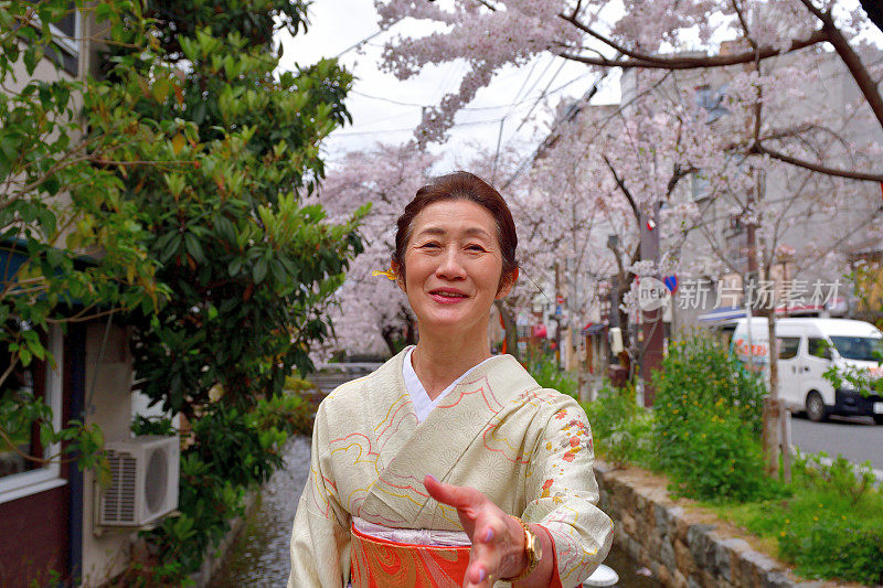 穿着和服的日本妇女在京都高濑河边欣赏樱花