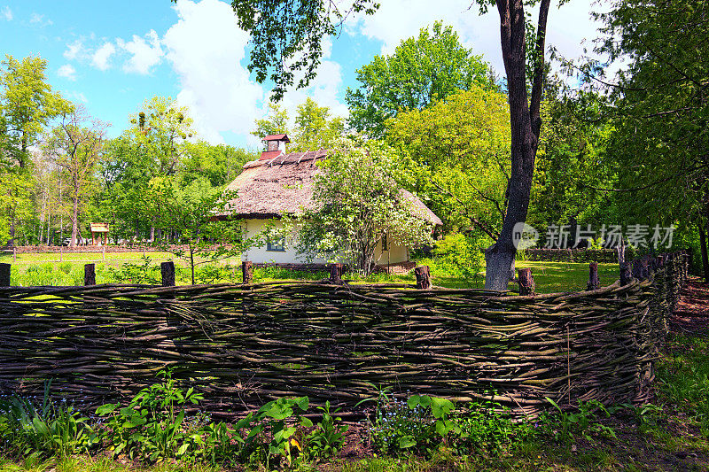在阳光明媚的日子里，以柳条围篱为花园的古陶土小房子的广角景观。古代乌克兰历史建筑的概念