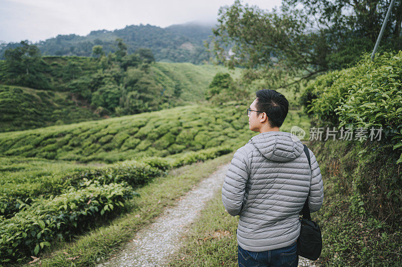 亚洲华人游客在卡梅隆高原茶园享受清晨的自然美景和清新空气