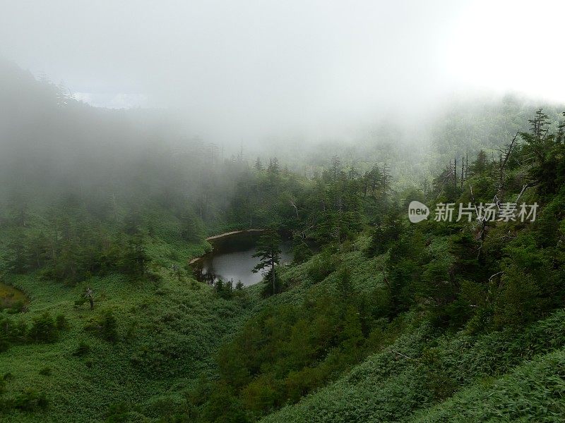 志贺高地(日本上心越国家公园志贺山)