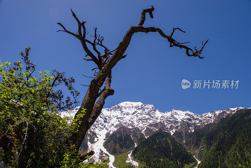 中国西藏林芝，上午318国道，冉乌湖(拉瓜措)至波密(波密)县的公路景观