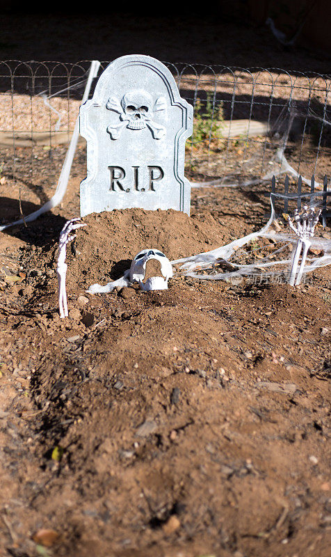 万圣节场景:墓碑上的安息，埋葬的骷髅