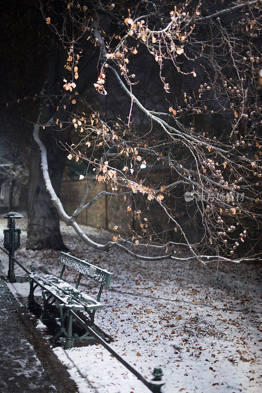 长凳，雪，冬天，克拉科夫中心的公园