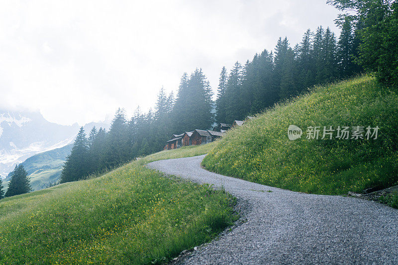 这条路通向草地和农舍