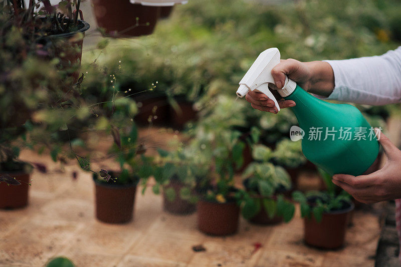 植物喷雾器