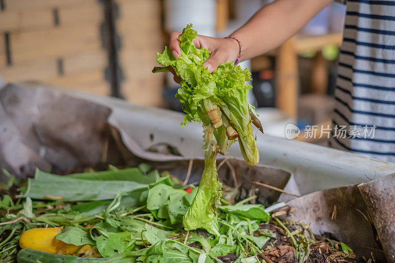 不可辨认的女性手把食物垃圾扔进堆肥堆