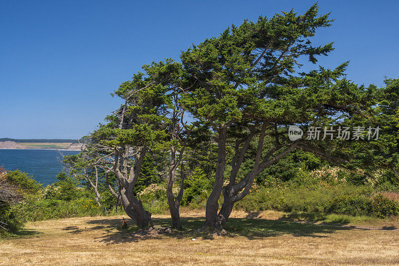 惠德比岛的海岸线，从凯西堡