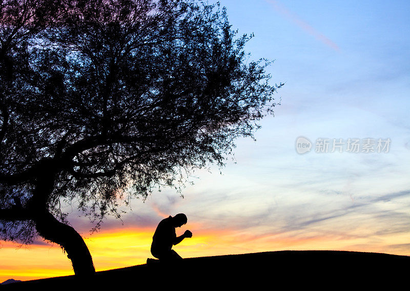 男人在牧豆树下祈祷的剪影