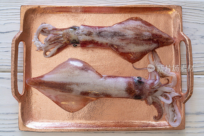 两个鱿鱼鱿鱼鱿鱼新鲜海鲜在金属铜盘和白色木材