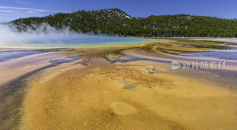 大棱镜泉，中途间歇泉盆地，黄石国家公园，怀俄明州。展示了带有彩色细菌的温泉和水，呈现出橙色到棕色的颜色。从温泉流出的彩色细菌。