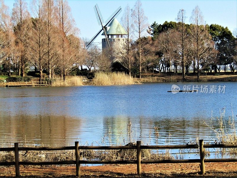 日本。2月。公园里的池塘。